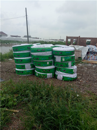 啟東呂四鎮(zhèn)農(nóng)村私建別墅